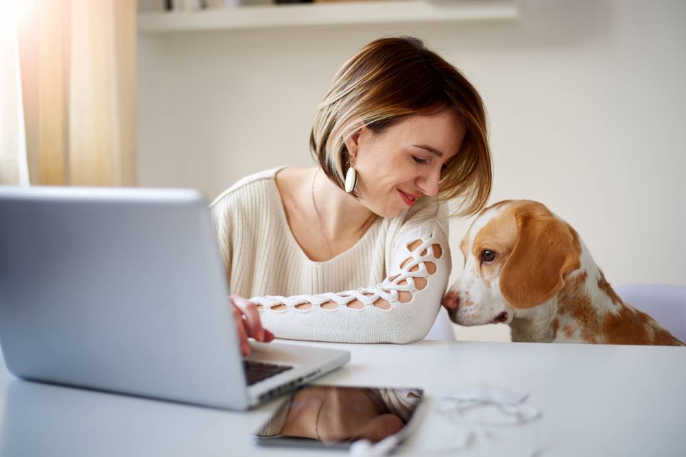professionnel en reconversion formation en ligne ACACED