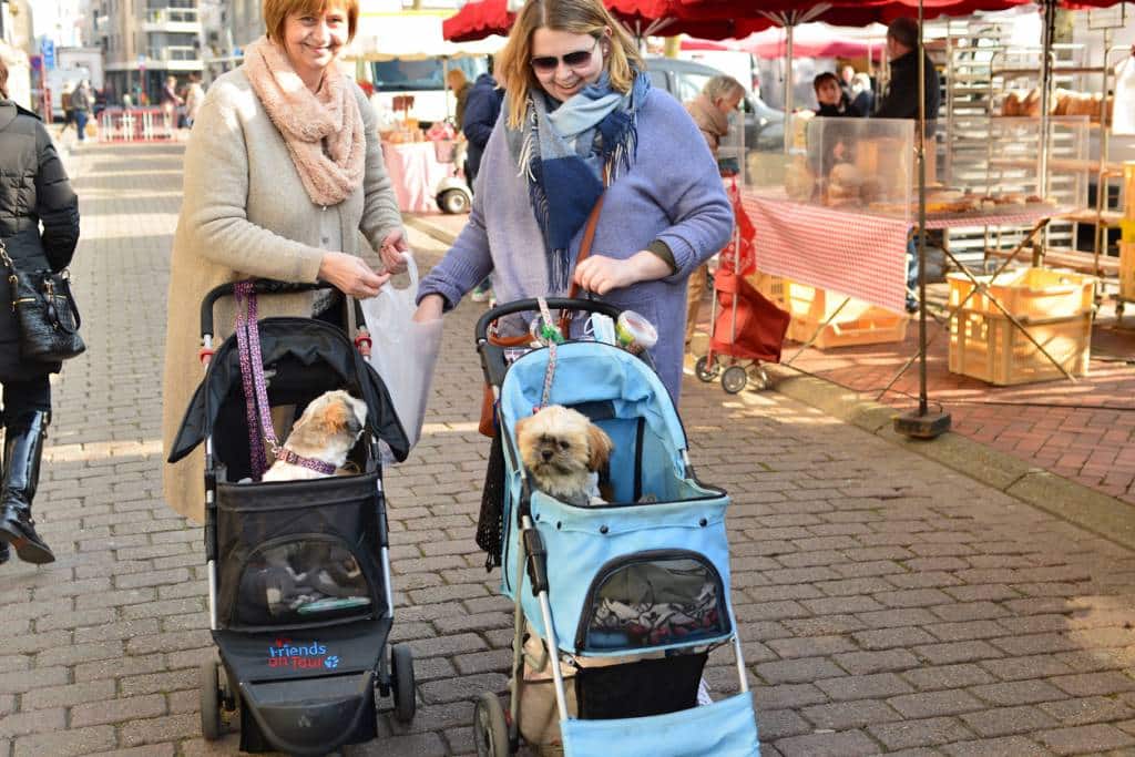 utiliser une poussette de chien