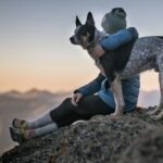 un chien et son maitre