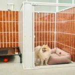 Chenil modulaire : Créer un espace évolutif pour votre élevage canin