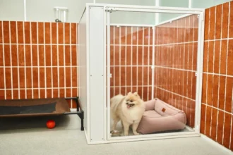 Chenil modulaire : Créer un espace évolutif pour votre élevage canin