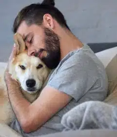 Comment améliorer le bien-être de votre animal