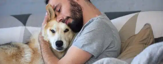 Comment améliorer le bien-être de votre animal