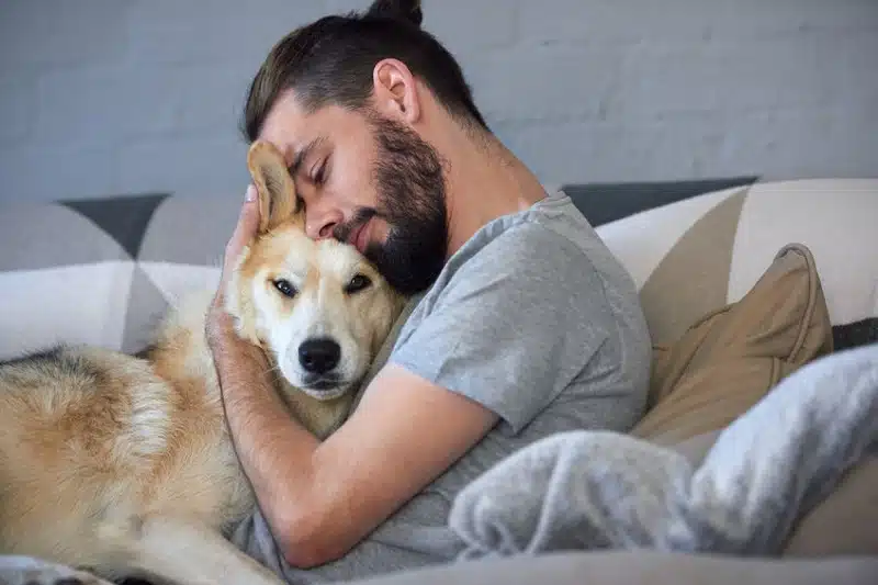 Comment améliorer le bien-être de votre animal