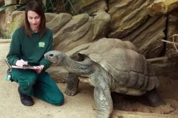 Comment se faire embaucher comme soigneur animalier