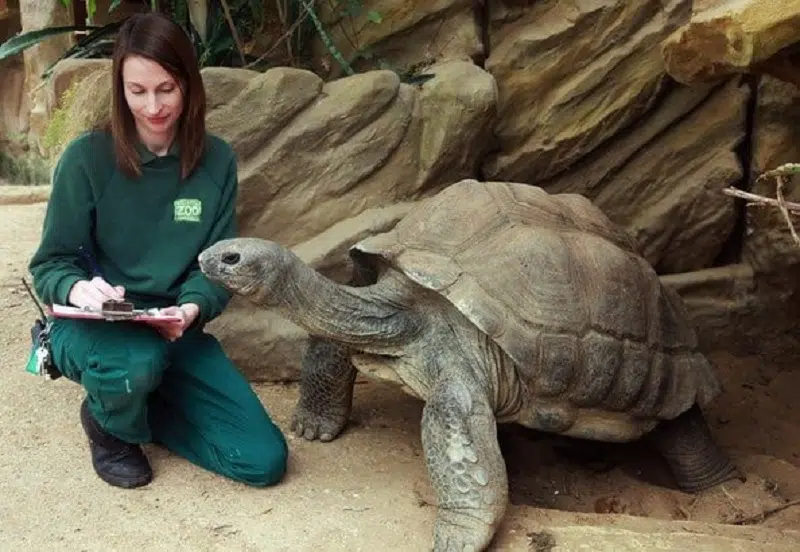 Comment se faire embaucher comme soigneur animalier