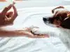 Les conseils pour dresser un chiot de deux mois