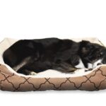 chien dormant sur son lit