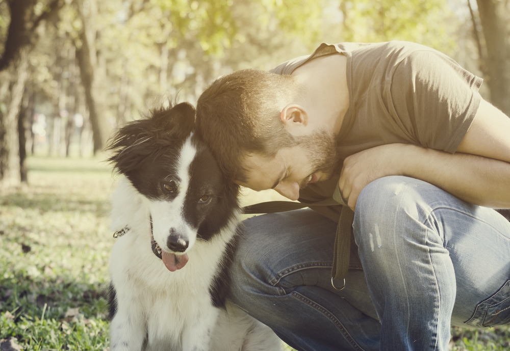 communiquer avec les animaux