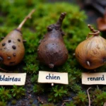 Comparaison côte à côte de crottes de blaireau, de chien et de renard sur un sol forestier moussu, étiquetées pour identification