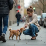 Femme réconfortant son chien en ville après une petite blessure