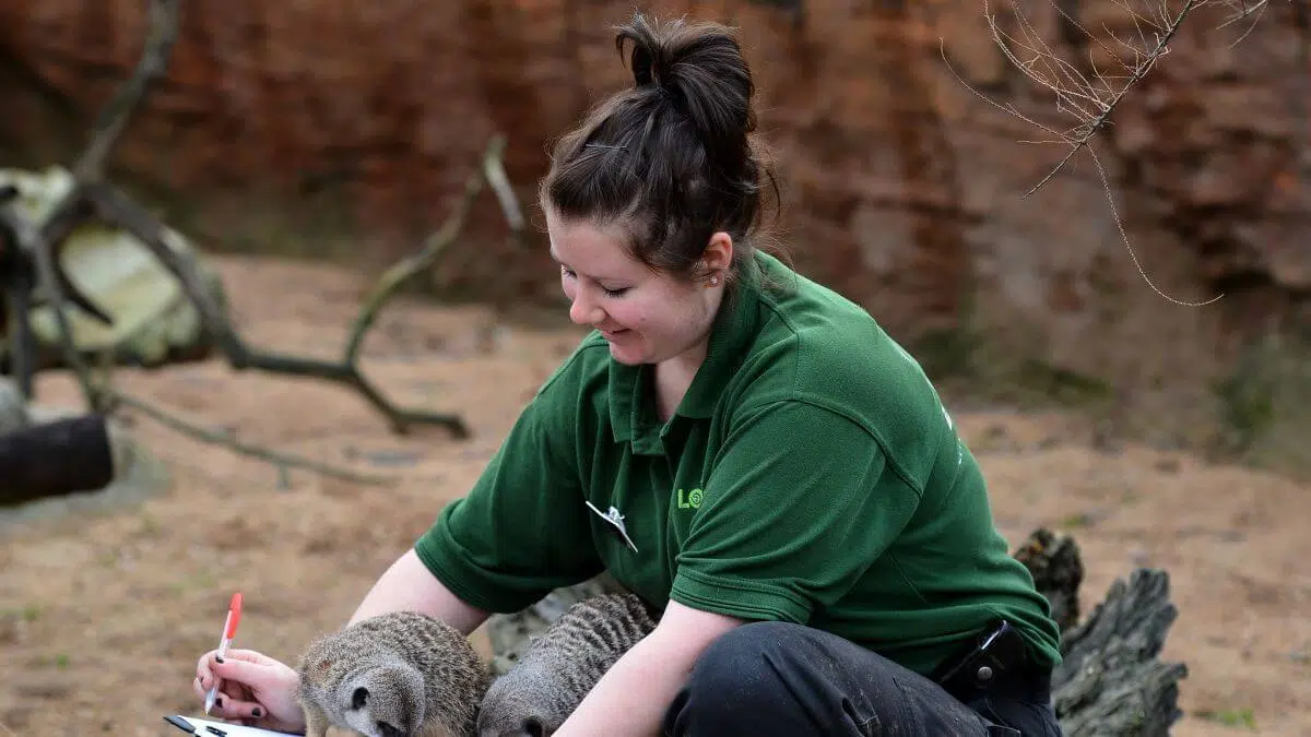 se faire embaucher comme soigneur animalier